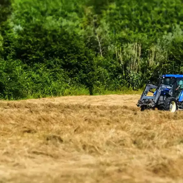 Leggi di più sul Investimenti per migliorare la coesistenza tra agricoltura, allevamenti e la fauna selvatica